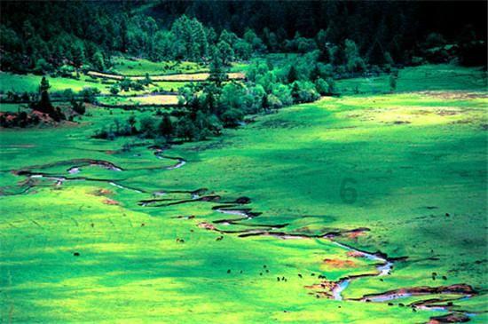 【技术信息】2024年初油菜低温寒潮天气防灾减灾应急措施